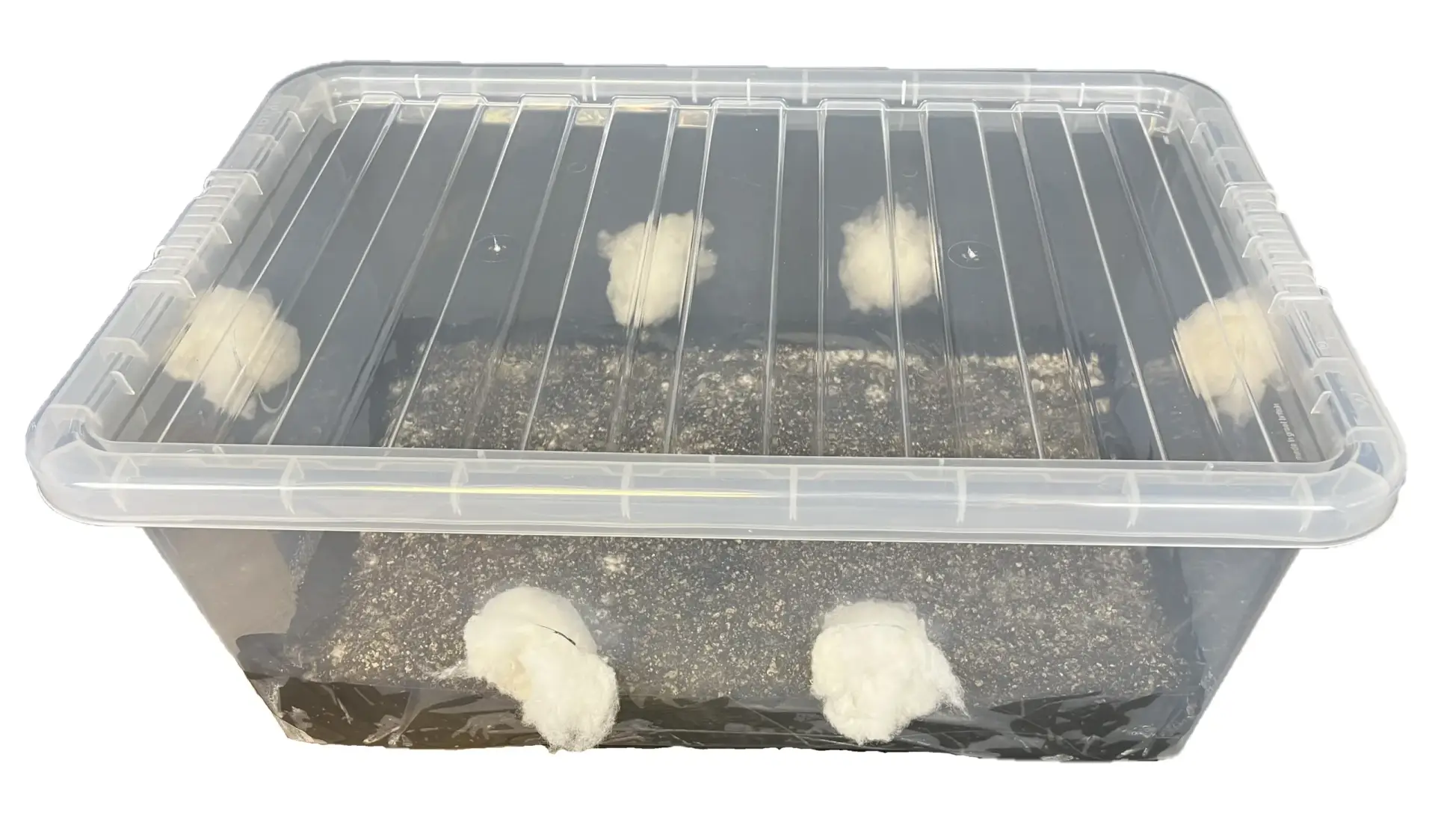 MonoTub45L full MonoTub45L full