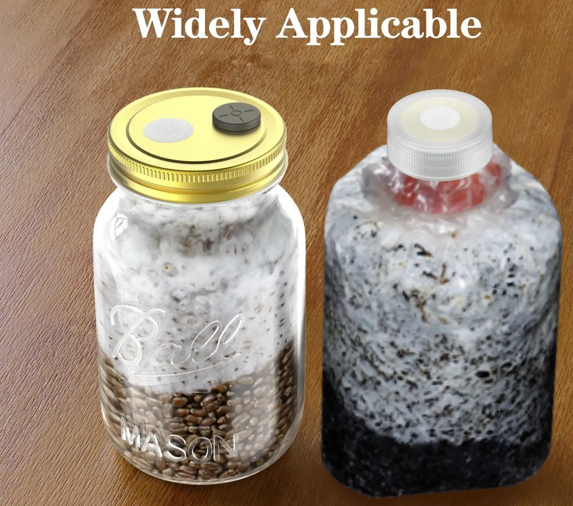 Mycology Synthetic Filter discs – Pack of 64 Mycology Synthetic Filter discs – Pack of 64