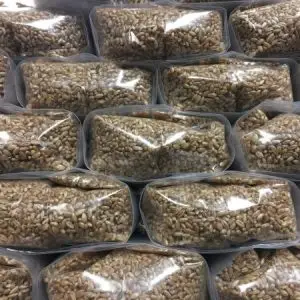 Ready-to-Use Sterilized Rye Grain Bags for Mushroom Growing Ready-to-Use Sterilized Rye Grain Bags for Mushroom Growing