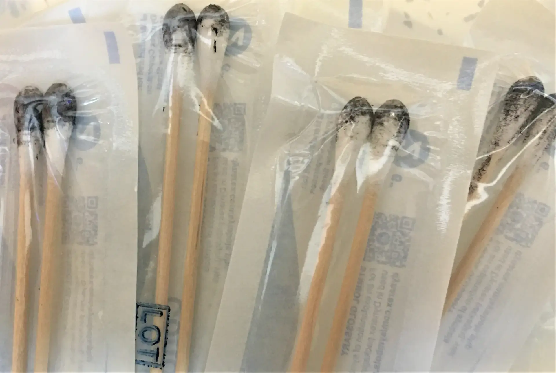 Buy Psilocybe Cubensis Magic Mushroom Spore Swabs – Sterile and Ready for Agar Plates in the UK Buy Psilocybe Cubensis Magic Mushroom Spore Swabs – Sterile and Ready for Agar Plates in the UK