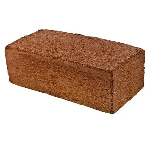 Coco Coir Brick – Ideal for Home Mushroom Cultivation in a Monotub Setup Coco Coir Brick – Ideal for Home Mushroom Cultivation in a Monotub Setup