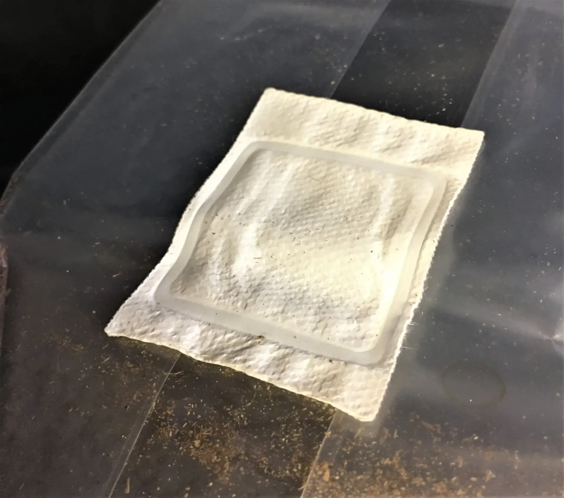 Oak Hardwood sawdust mushroom grow bags. Oak Hardwood sawdust mushroom grow bags.