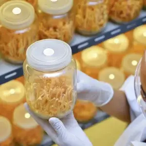 filter on jar-0001 filter on jar-0001