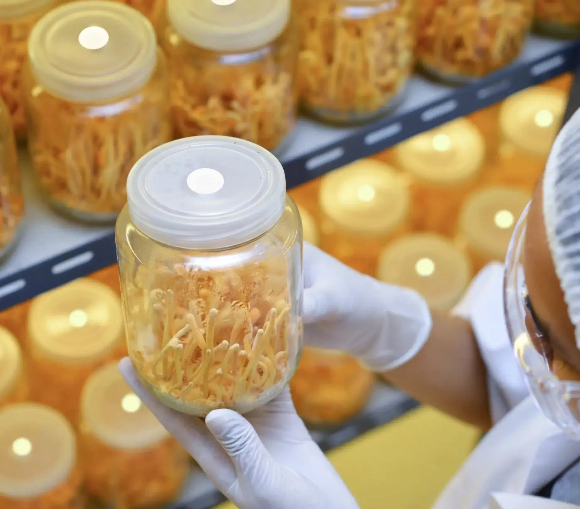 filter on jar-0001 filter on jar-0001