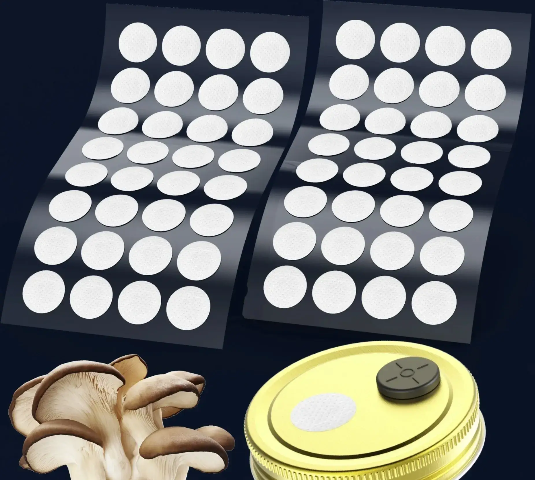 High-Quality Mycology Synthetic Filter Disks for Spawn Jars High-Quality Mycology Synthetic Filter Disks for Spawn Jars