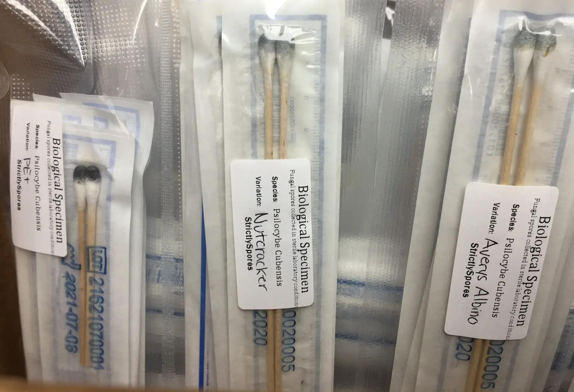 The STRICTLY Collection-Spore Swabs The STRICTLY Collection-Spore Swabs