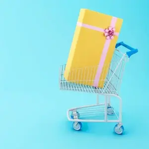 Laminar Flow Hood VD-650 Laminar Flow Hood VD-650