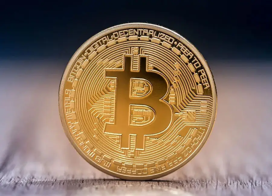 bitcoin accepted by sporebuddies.com for magic mushroom spores syringes and mushroom kits uk