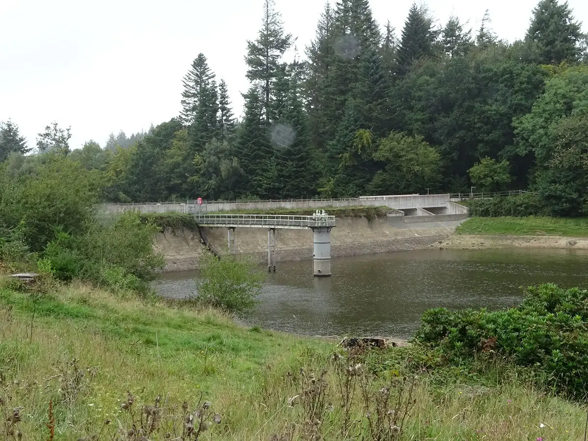 Exeter Mushroom hunt Oct 2019