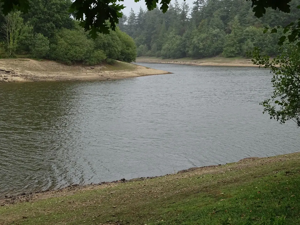 Exeter Mushroom hunt Oct 2019