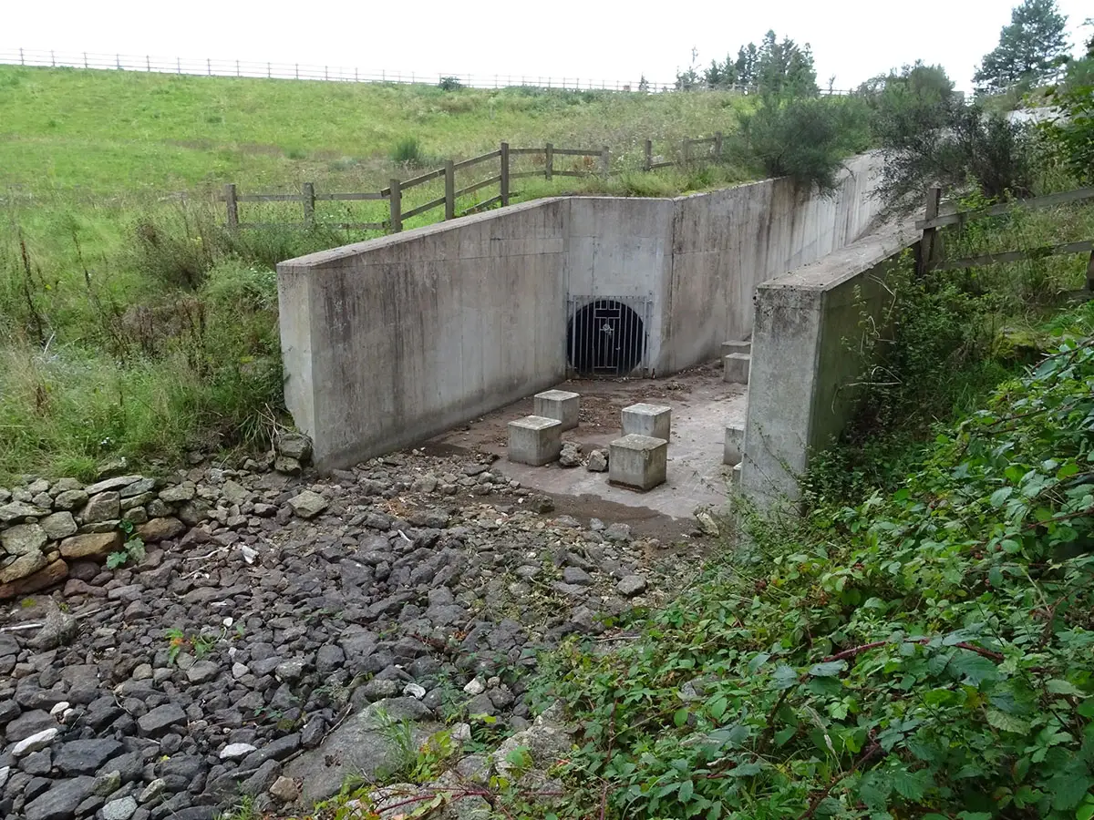 Exeter Mushroom hunt Oct 2019