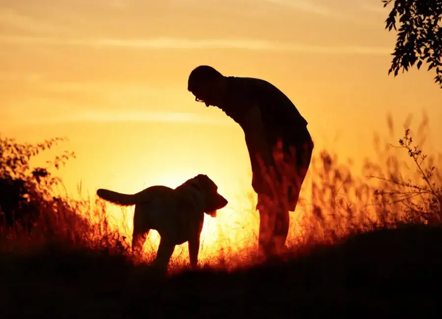 Payment methods available