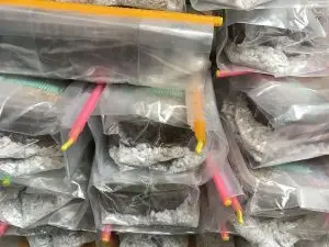 Mushroom grow bags sealed with colorful Mushroom Bag Sealer Sticks, ensuring an airtight closure for fruiting and cultivation.