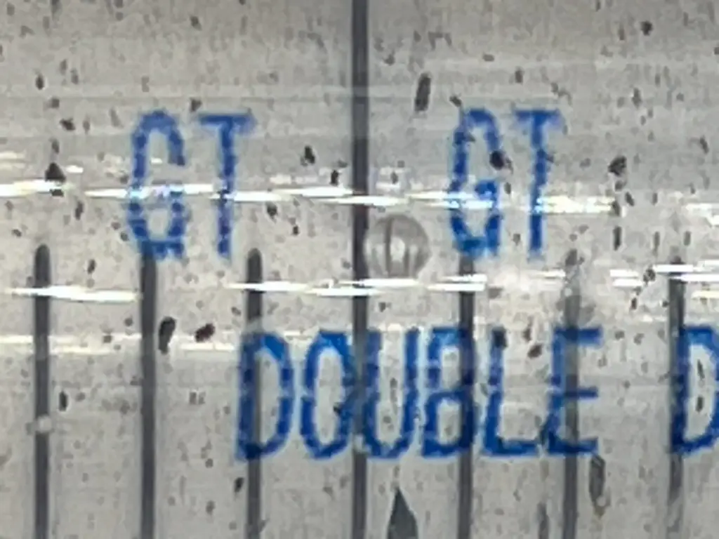 golden teacher spore syringes