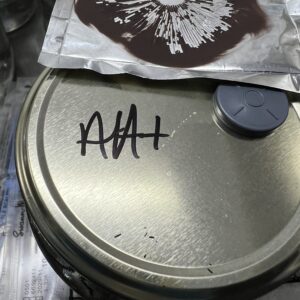 Albino A+ Spore Print with Sterile Setup – Psilocybe Cubensis Spores for Microscopy Albino A+ Spore Print with Sterile Setup – Psilocybe Cubensis Spores for Microscopy