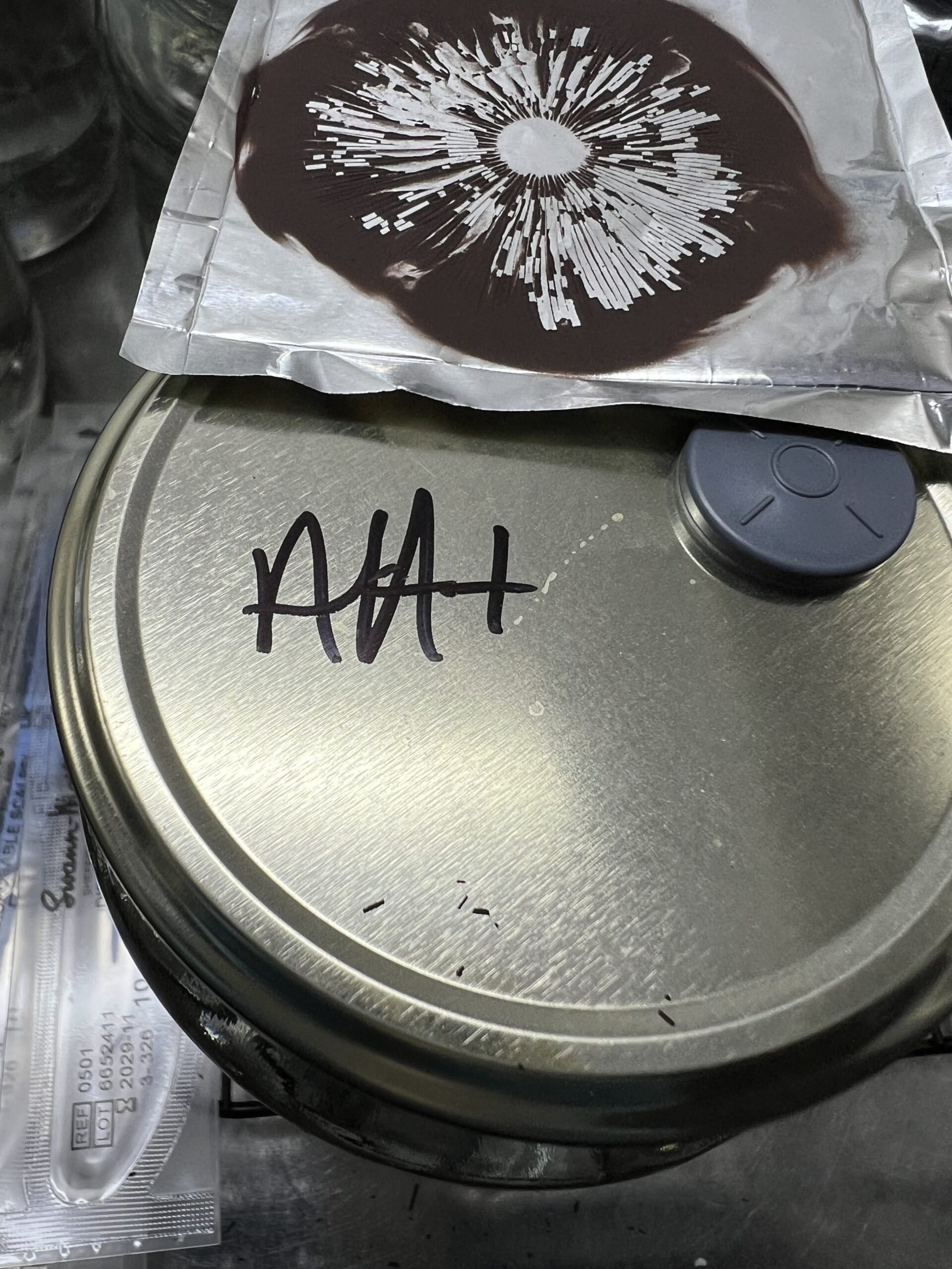 Albino A+ Spore Print with Sterile Setup – Psilocybe Cubensis Spores for Microscopy Albino A+ Spore Print with Sterile Setup – Psilocybe Cubensis Spores for Microscopy