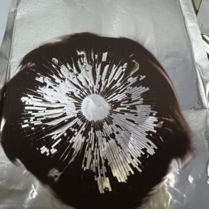 Albino A+ spore print on sterile foil showing dense radial pattern of Psilocybe cubensis spores for microscopy