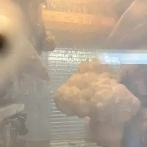 GrowbuddieXL – Heated Monotub Kit UK for Growing Lion’s Mane Mushrooms GrowbuddieXL – Heated Monotub Kit UK for Growing Lion’s Mane Mushrooms