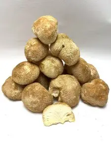 A pyramid stack of Lion's Mane mushroom uk with one cut to reveal its fibrous interior, ideal for microdosing and wellness.