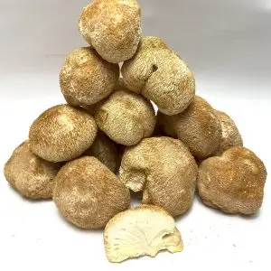 Stacked Lion’s Mane Mushrooms for Microdosing