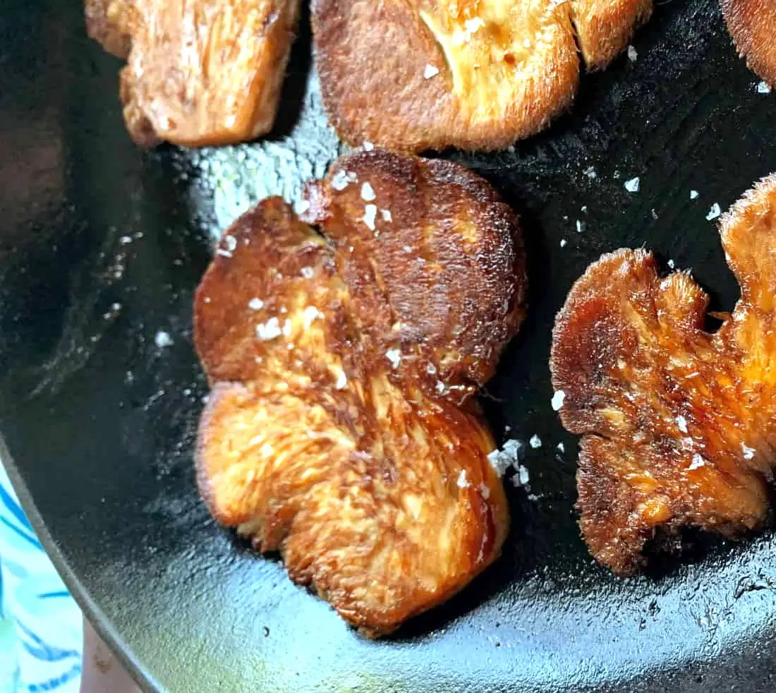 Eating lion's mane mushroom, Golden brown slices of lion’s mane mushrooms fried in olive oil, sprinkled with sea salt, showcasing a crispy and delicious texture.