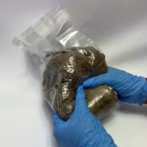 Mixing the Inject and Forget Bags for Faster Colonization Mixing the Inject and Forget Bags for Faster Colonization