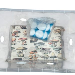 How to Use a Monotub for Growing Mushrooms – Empty Setup How to Use a Monotub for Growing Mushrooms – Empty Setup