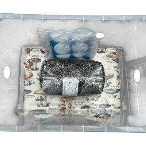 Where to Buy a Monotub in the UK – Complete Setup Where to Buy a Monotub in the UK – Complete Setup