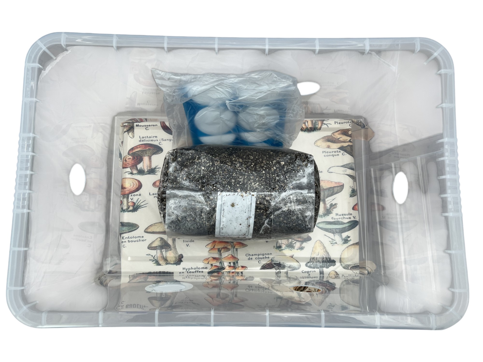 Where to Buy a Monotub in the UK – Complete Setup Where to Buy a Monotub in the UK – Complete Setup