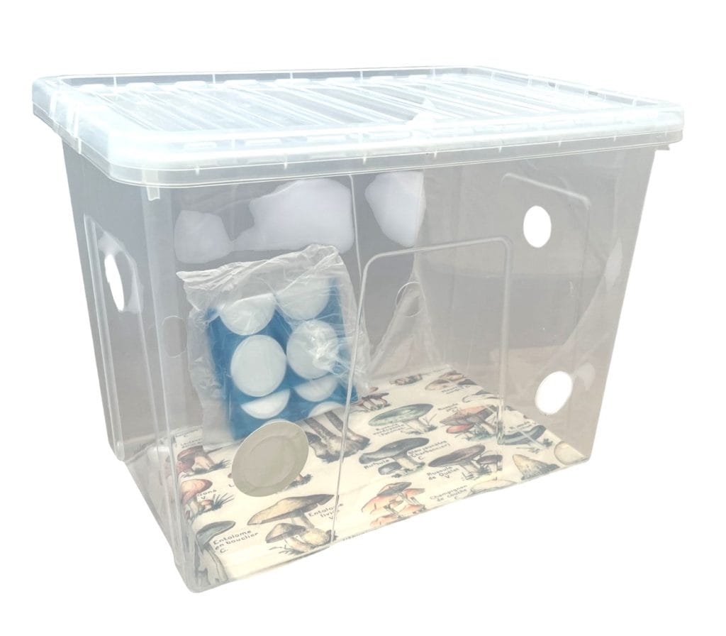 A side-angle view of the best monotub setup for mushrooms, featuring filter patches and pre-drilled holes for controlled air exchange and humidity regulation.