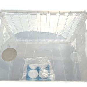 IMG_2489-Photoroom IMG_2489-Photoroom