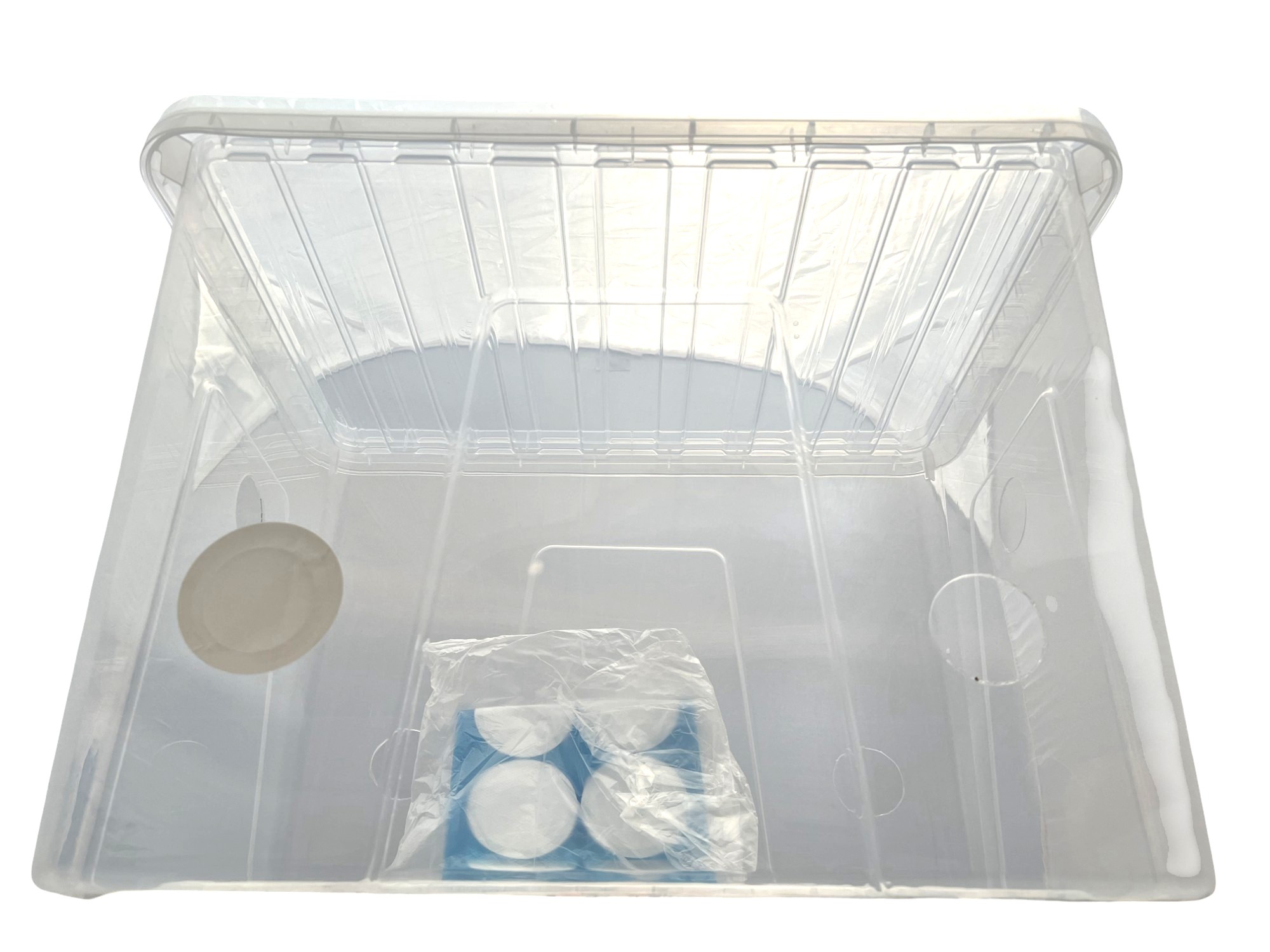 IMG_2489-Photoroom IMG_2489-Photoroom