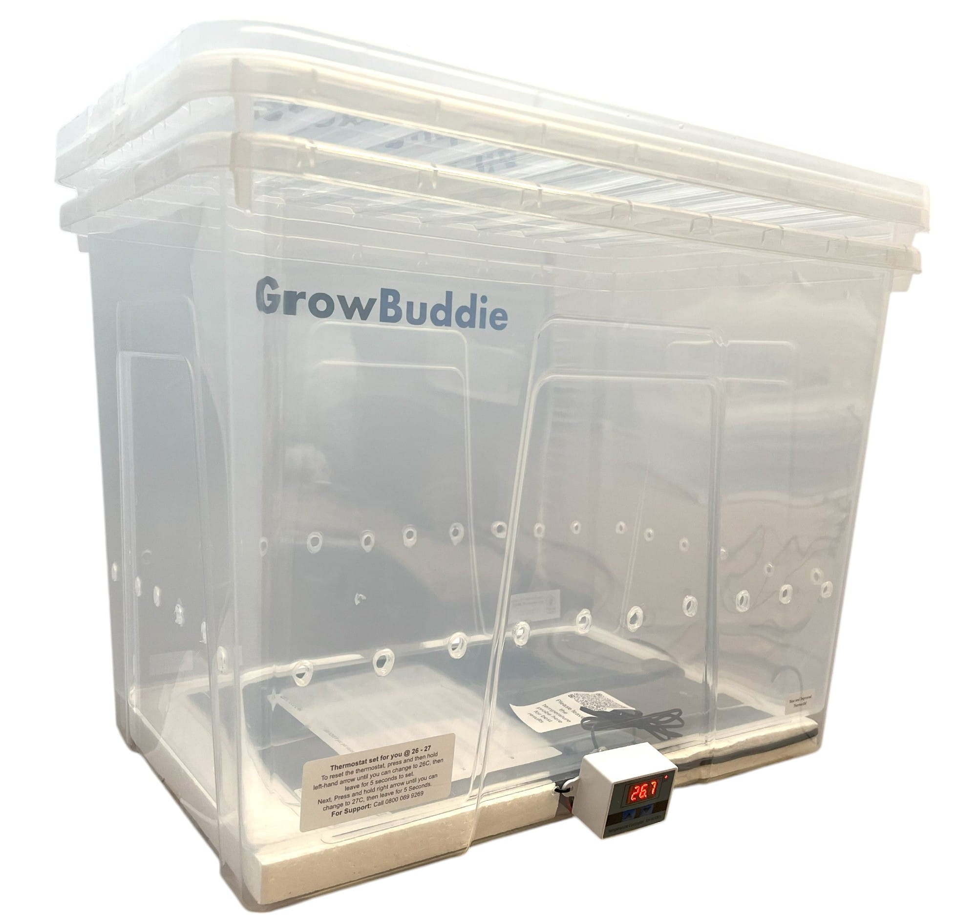 GrowbuddieXL – Best Mushroom Incubator UK for Growing Lion’s Mane & More GrowbuddieXL – Best Mushroom Incubator UK for Growing Lion’s Mane & More