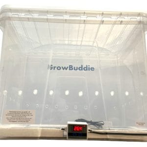 GrowbuddieXL – Best Mushroom Incubator UK for Growing Lion’s Mane & More GrowbuddieXL – Best Mushroom Incubator UK for Growing Lion’s Mane & More