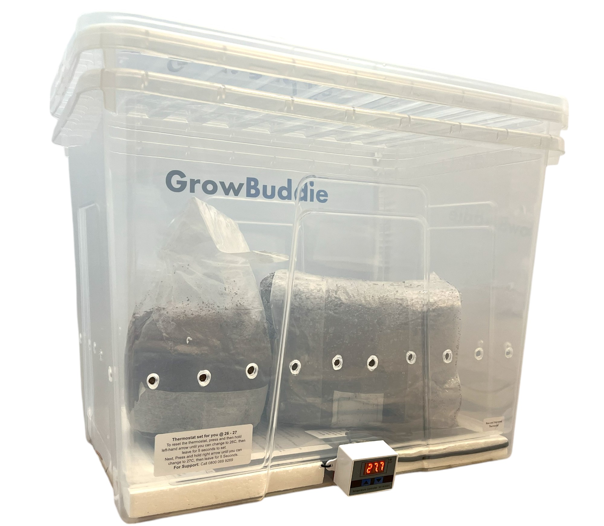GrowbuddieXL – Heated Monotub Kit UK with Lion’s Mane & All-in-One Grow Bags GrowbuddieXL – Heated Monotub Kit UK with Lion’s Mane & All-in-One Grow Bags