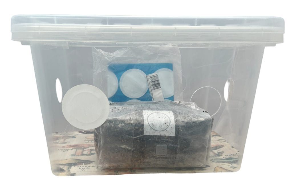an all in one monotub mushroom grow kit with filter patches, substrate bag, and components used for cultivating mushrooms with magic mushroom spores and mycology equipment and supplies.
