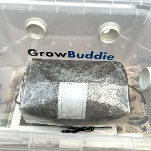 Heated Monotub Kit 25L with 2.25kg All-in-One Monotub Substrate Pack Heated Monotub Kit 25L with 2.25kg All-in-One Monotub Substrate Pack