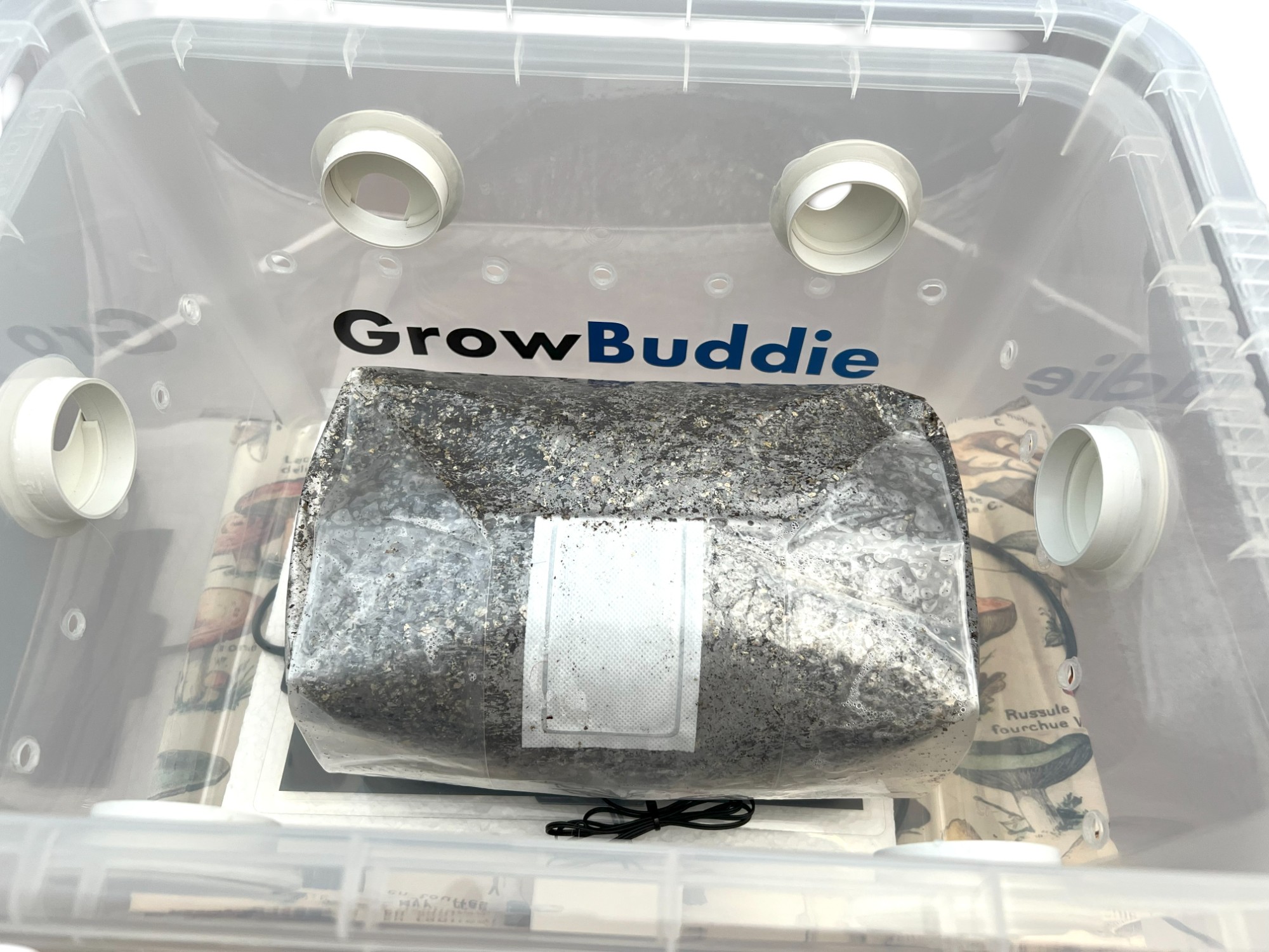 Heated Monotub Kit 25L with 2.25kg All-in-One Monotub Substrate Pack Heated Monotub Kit 25L with 2.25kg All-in-One Monotub Substrate Pack