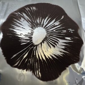 Ban Hua Thai spore print on foil with rich purple spore clusters