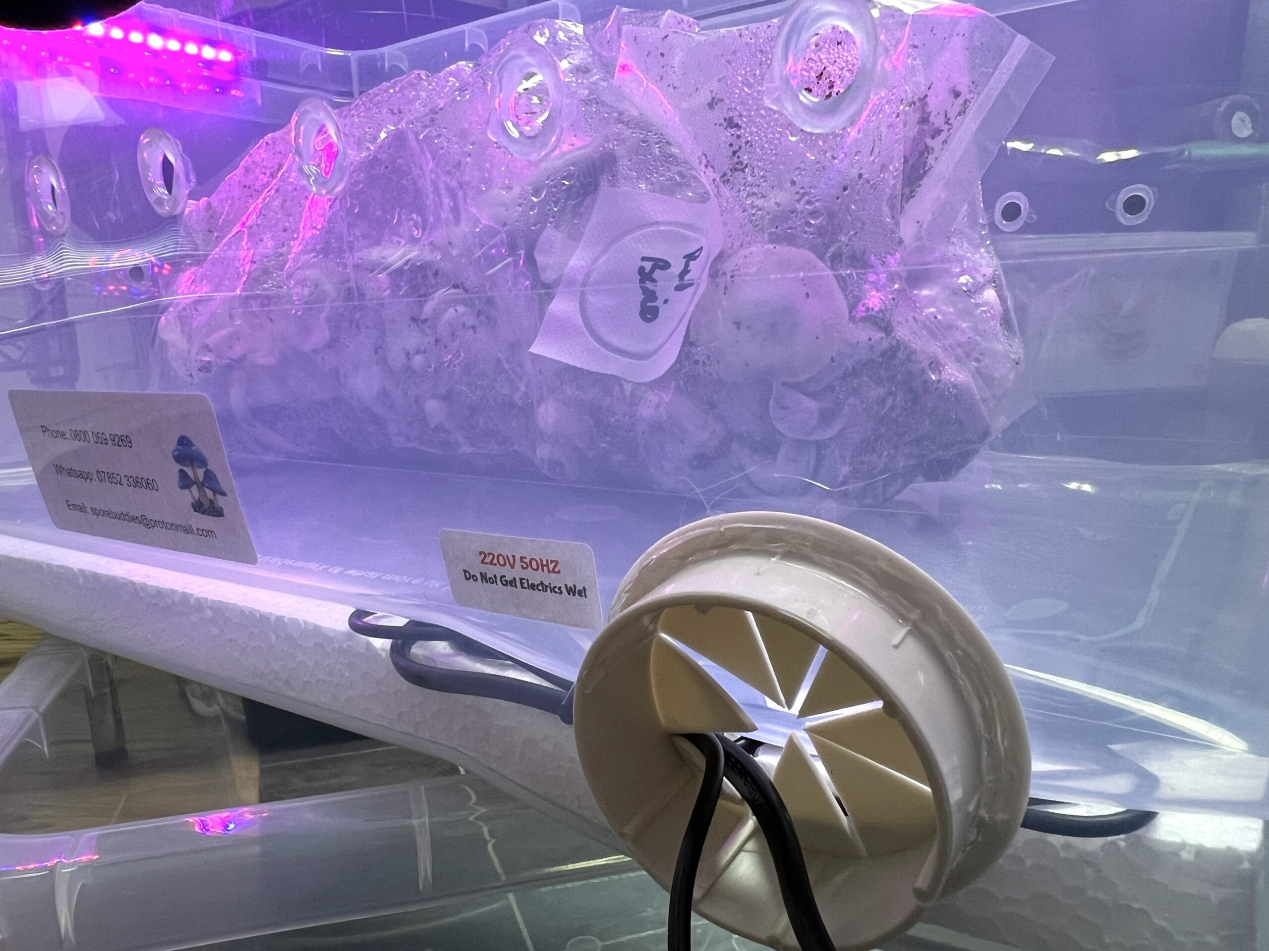 Digital mushroom incubator rear cable entry