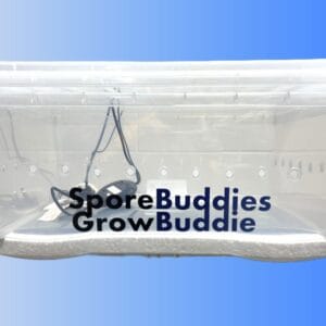 Digital mushroom incubator called the Growbuddie60.