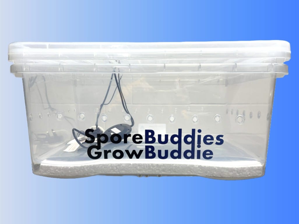 Digital mushroom incubator called the Growbuddie60.