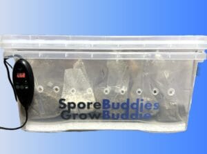 Digital mushroom incubator without lightingcalled the Growbuddie60.