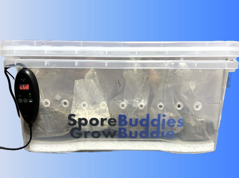 Digital mushroom incubator called the Growbuddie60.