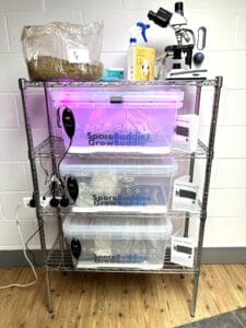 Life style photo showing how the Digital mushroom incubators can be used.
