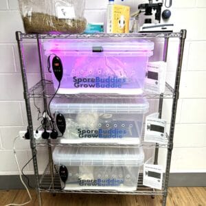 Life style photo showing how the Digital mushroom incubators can be used.