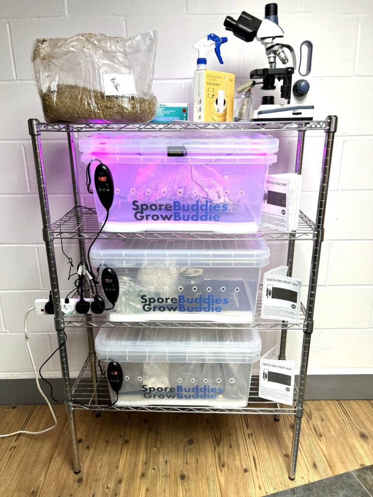 Life style photo showing how the Digital mushroom incubators can be used.