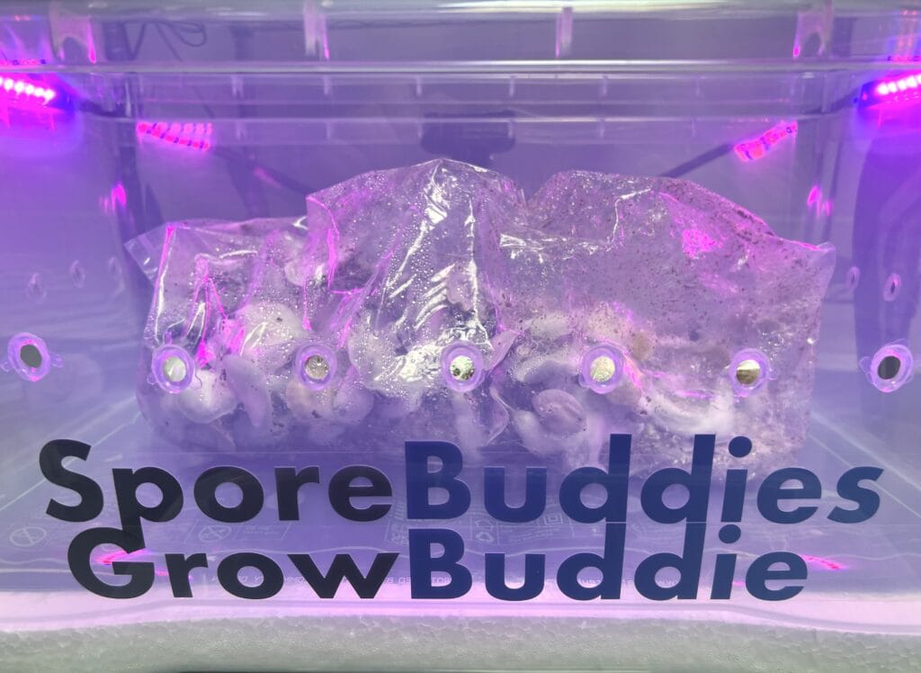 Grow mushrooms in bags