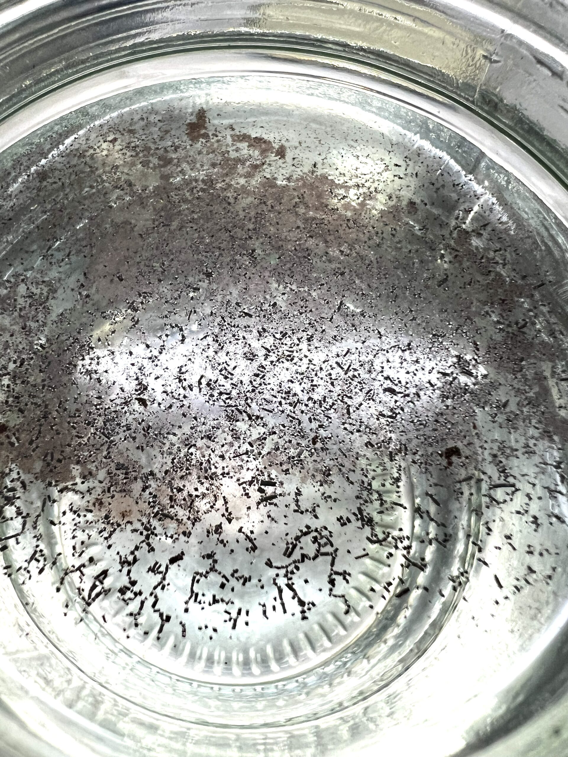 Aztec God spore print scraped into water Aztec God spore print scraped into water