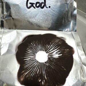 Aztec God spore print, Psilocybe cubensis spores Aztec God spore print, Psilocybe cubensis spores